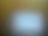 Я молодая вебкам актриса воплощает в реальность любые твои фантазии. За твои деньги смогу создать образ твоей любимой порноактрисы. Я студентка домохозяйка сделаю твою жизнь счастливее